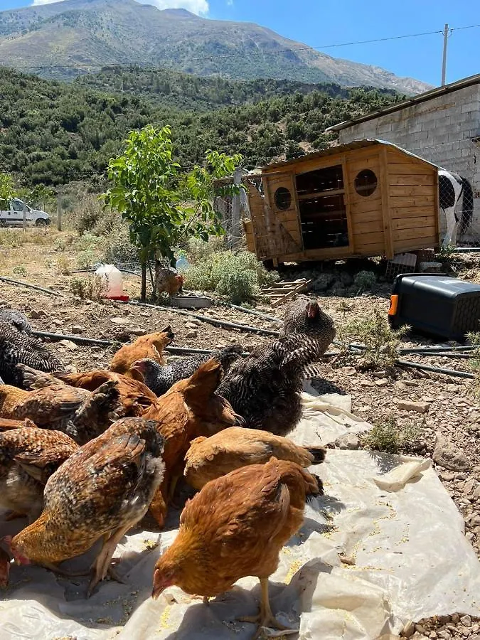 Vlorë Miri Farm Guest House אלבניה